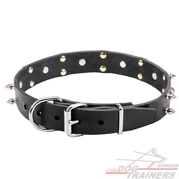 Leather collar with skulls and 2 rows of spikes