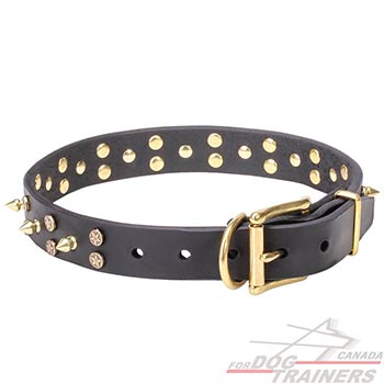 Full Grain Natural Leather Dog Collar With Brass Hardware