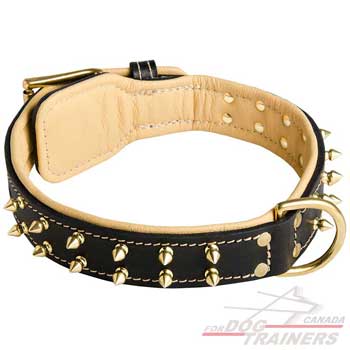 Leather Dog Collar with Padding