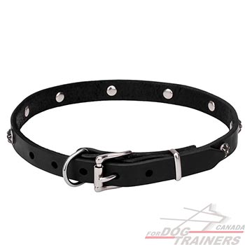 Strong Dog Collar with Rust-proof Hardware