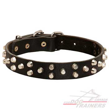 Leather Dog Collar with Rust Resistant Rivets and Studs