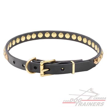 Studded Leather Dog Collar with Brass Hardware