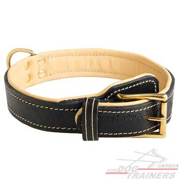 Leather Dog Collar with Plate Near The Buckle