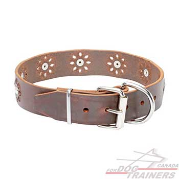 Nickel plated harware on dog leather collar