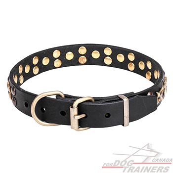 Reliable hardware on walking leather dog collar