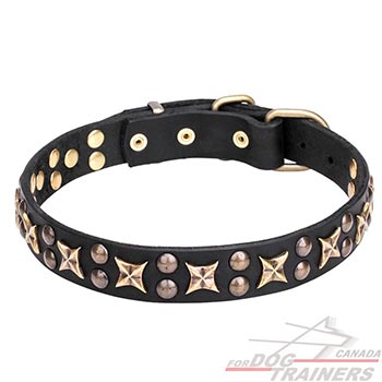 Natural leather dog collar with studs and stars