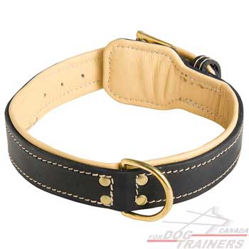 Nappa Leather Dog Collar with Soft Inside Covering