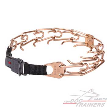 Durable Curogan dog pinch collar for behavior control