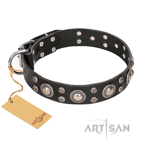 Indestructible leather dog collar with corrosion-resistant fittings