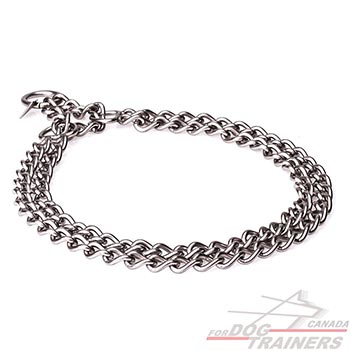 Stainless Steel Dog Chain Collar for Behavior Control