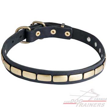 Dog collar withdecoration of brass