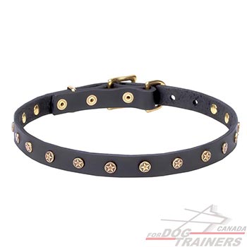 Full grain natural leather dog collar with decor