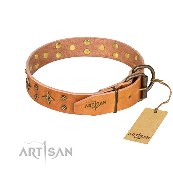Everyday walking natural genuine leather collar with embellishments for your pet