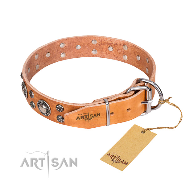 Walking leather collar with embellishments for your canine