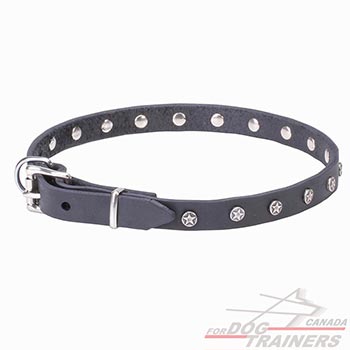 Reliable Hardware on elegant leather dog collar