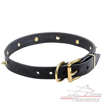 Goldish hardware for leather dog collar