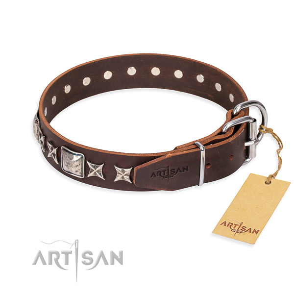 Daily use full grain natural leather collar with embellishments for your canine