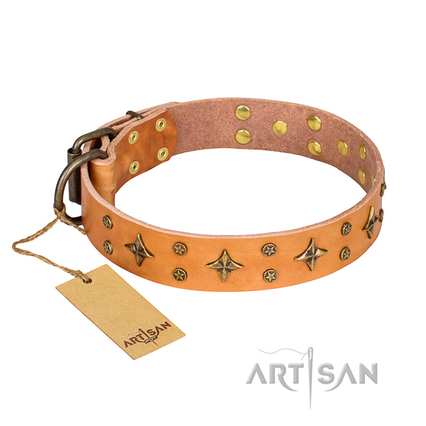 Extraordinary genuine leather dog collar for walking