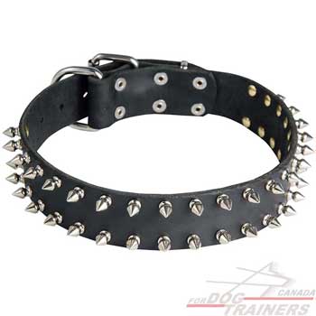 Leather collar for dogs with spiked decoration