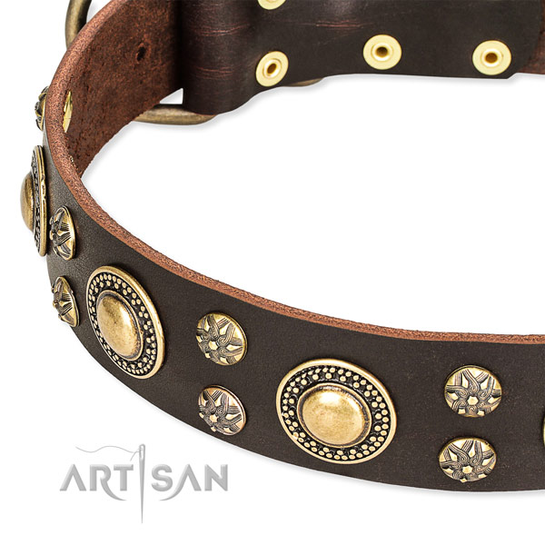 Leather dog collar with incredible decorations