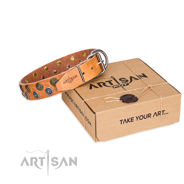 Full grain genuine leather dog collar with embellishments for everyday walking