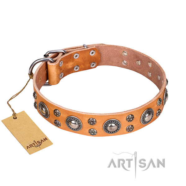 Unique leather dog collar for daily use
