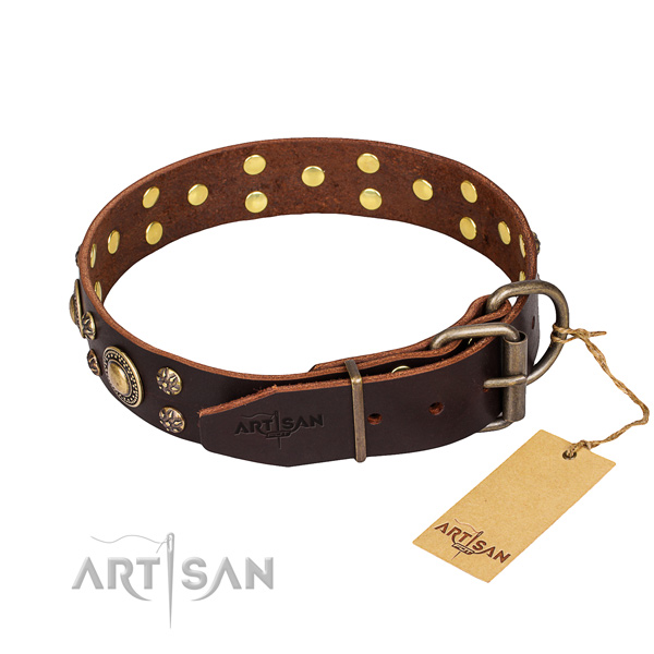 Walking genuine leather collar with adornments for your four-legged friend
