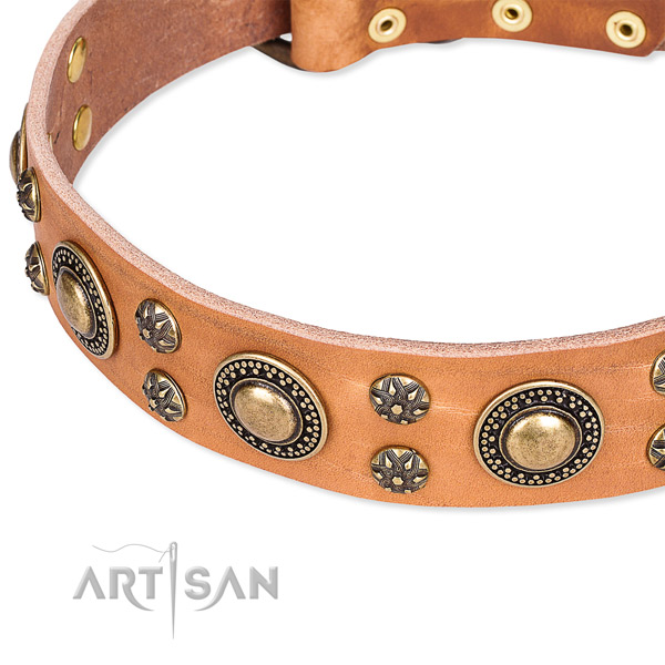 Leather dog collar with inimitable embellishments