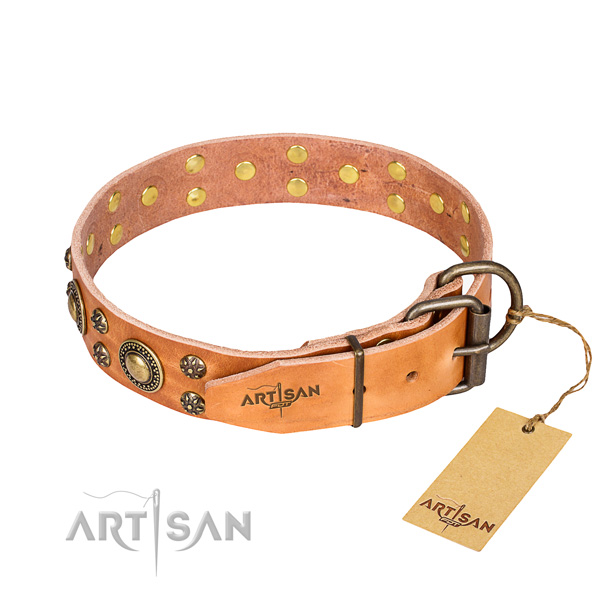 Everyday walking natural genuine leather collar with adornments for your dog