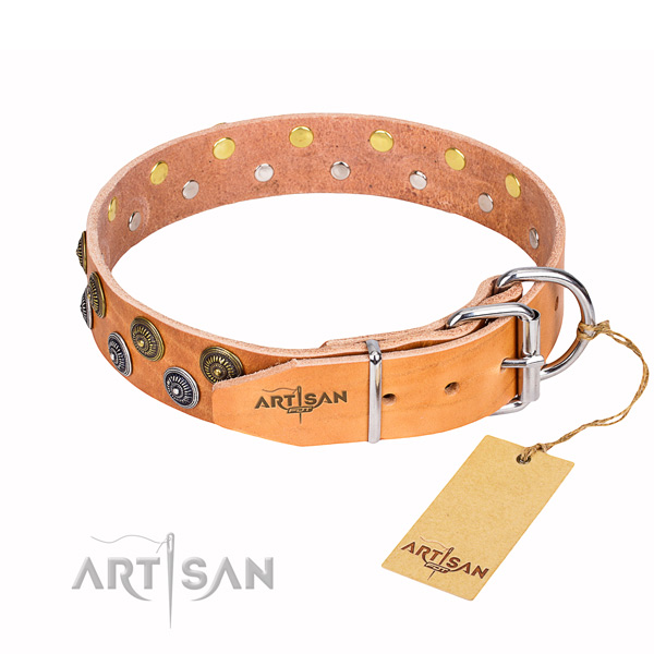 Walking natural genuine leather collar with adornments for your dog