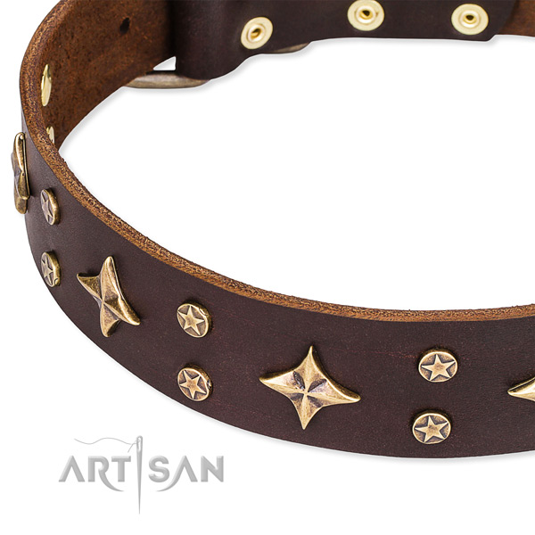 Full grain genuine leather dog collar with top notch embellishments