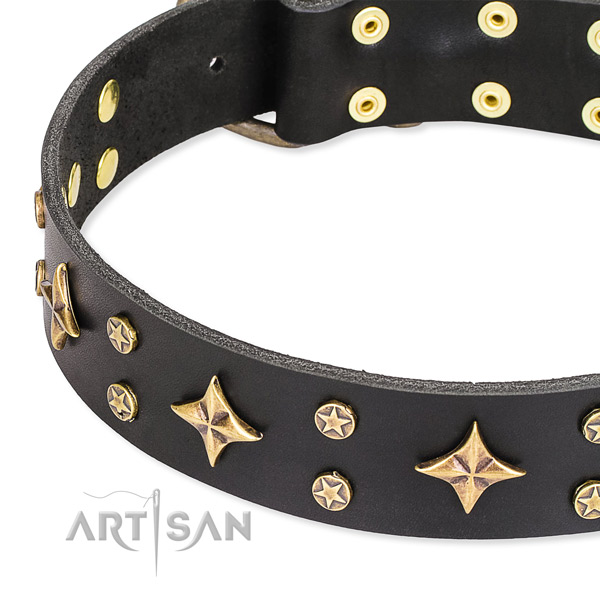Full grain leather dog collar with exceptional decorations
