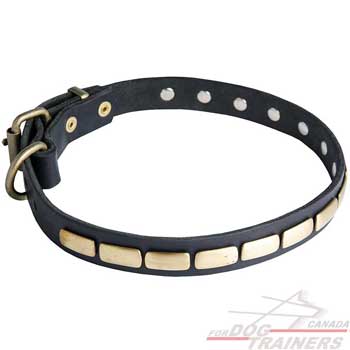 Dog collar of leather with rust-proofed hardware