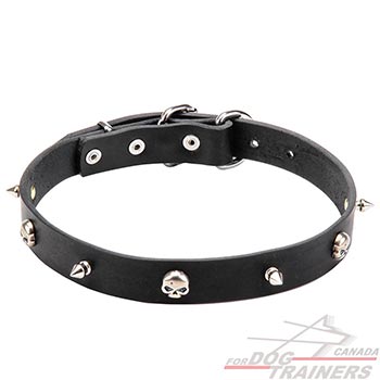 Leather Dog Collar with Silver-like Decorations
