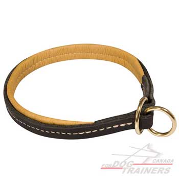 Leather dog collar with soft padding