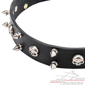 Nickel-plated decoration for elegant leather dog collar