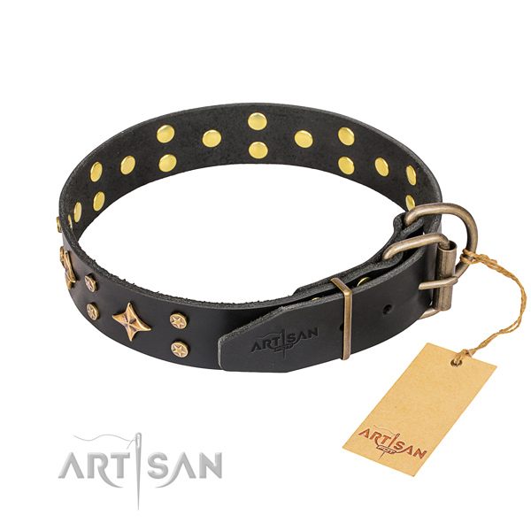 Stylish walking leather collar with embellishments for your four-legged friend
