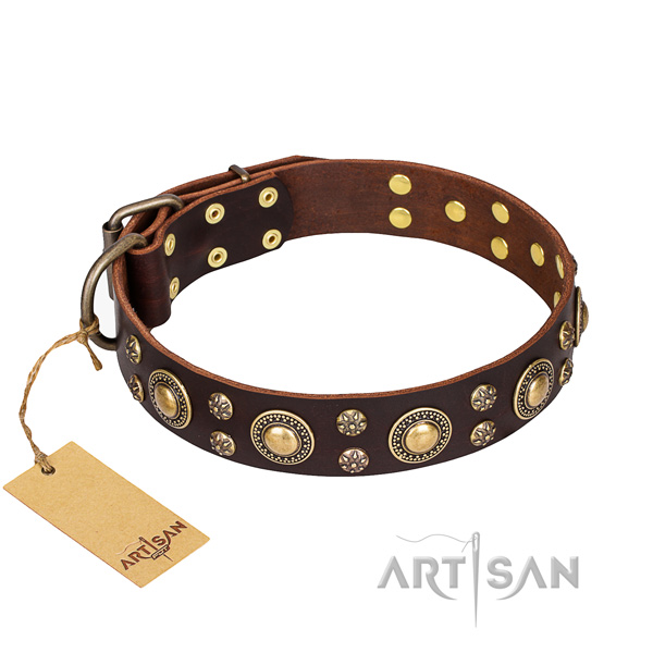 Unusual full grain genuine leather dog collar for everyday walking
