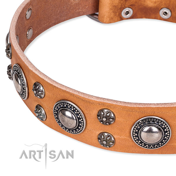 Handy use genuine leather collar with rust resistant buckle and D-ring