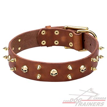 Tan leather collar with skulls and 2 rows of spikes