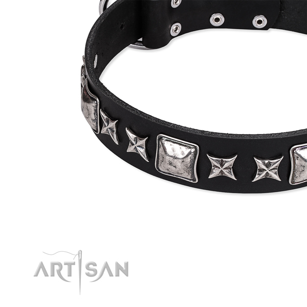 Leather dog collar with decorations for stylish walking