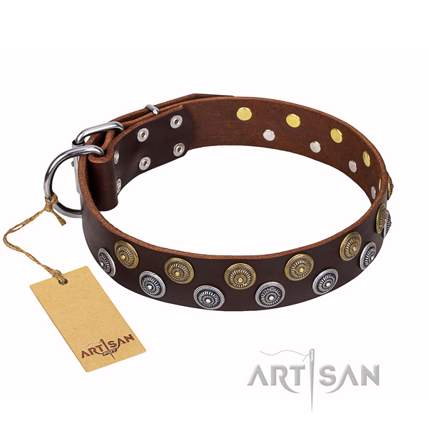 Incredible full grain genuine leather dog collar for daily use