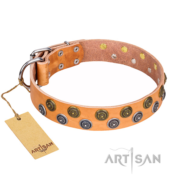 Incredible full grain genuine leather dog collar for daily use