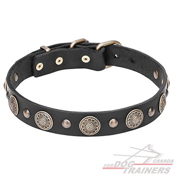 Natural Leather Dog Collar Decorated with Brass Studs
