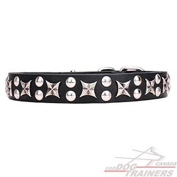 Dog collar with chrome plated stars and studs