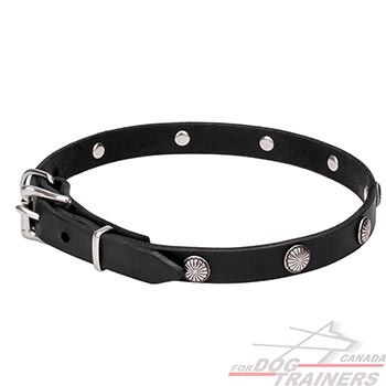 Narrow Leather Dog Collar with Rust-resistant Hardware