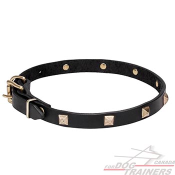Full grain natural leather dog collar with decorations