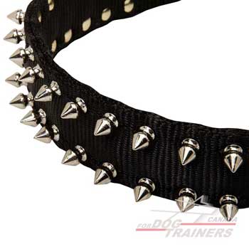 Nylon dog collar with spiked decoration