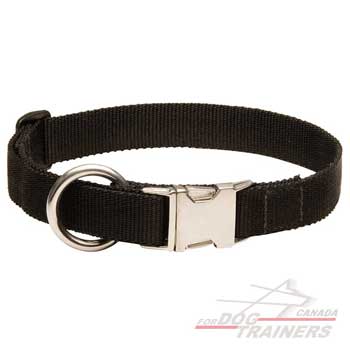 Dog collar of nylon for all-weather training