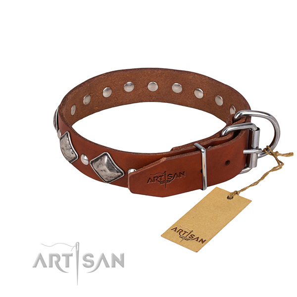 Long-lasting leather dog collar with strong details